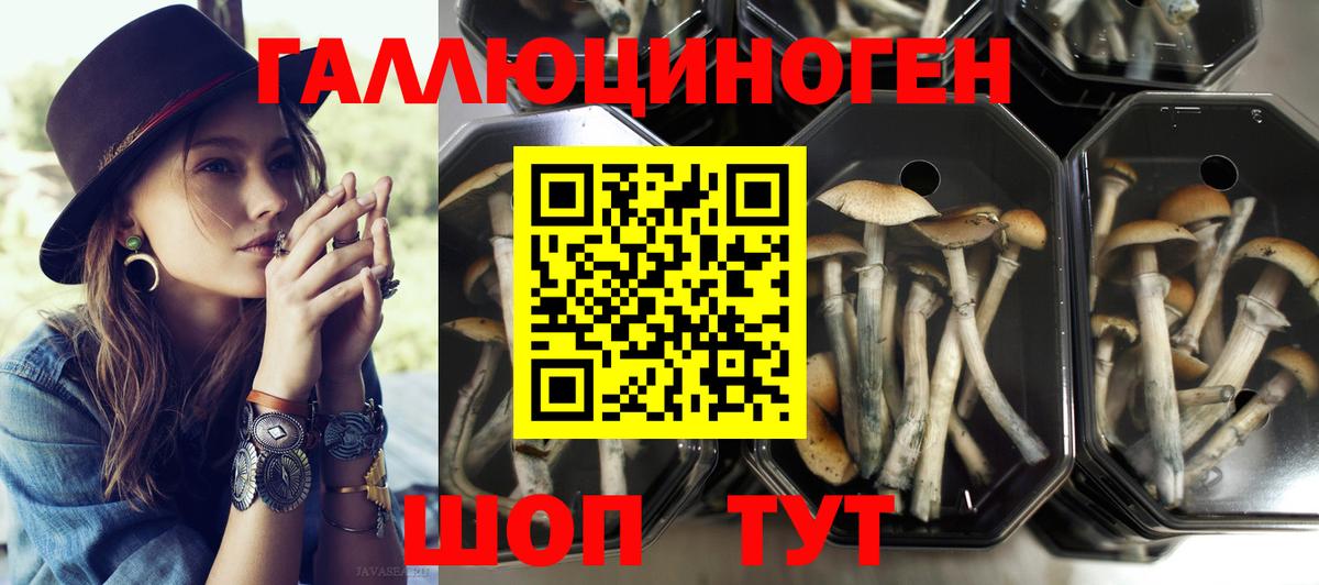 Псилоцибиновые грибы мицелий Канаш