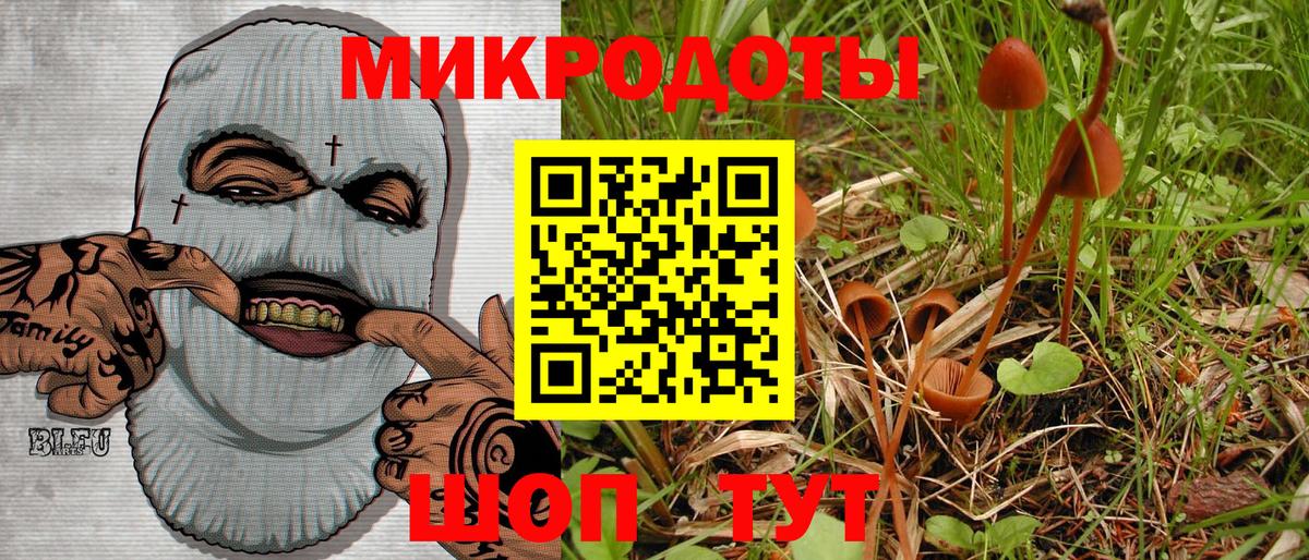 Галлюциногенные грибы Psilocybine cubensis  Псилоцибиновые грибы мухоморы  Вход с VPN  Канаш 